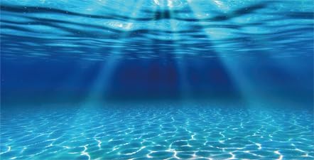 Natural Undersea Aquarium Background, Underwater Ocean Sunlight Fish Tank Background 24X16IN with 8 EVA Double-Sided Tape
