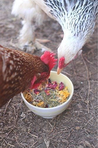 Pampered Chicken Mama Best Eggs Ever! Nesting Herbs for Chickens (10 Ounces) Calcium Supplement for Chickens | Chicken Feed Supplies, Hen Treats for Coops