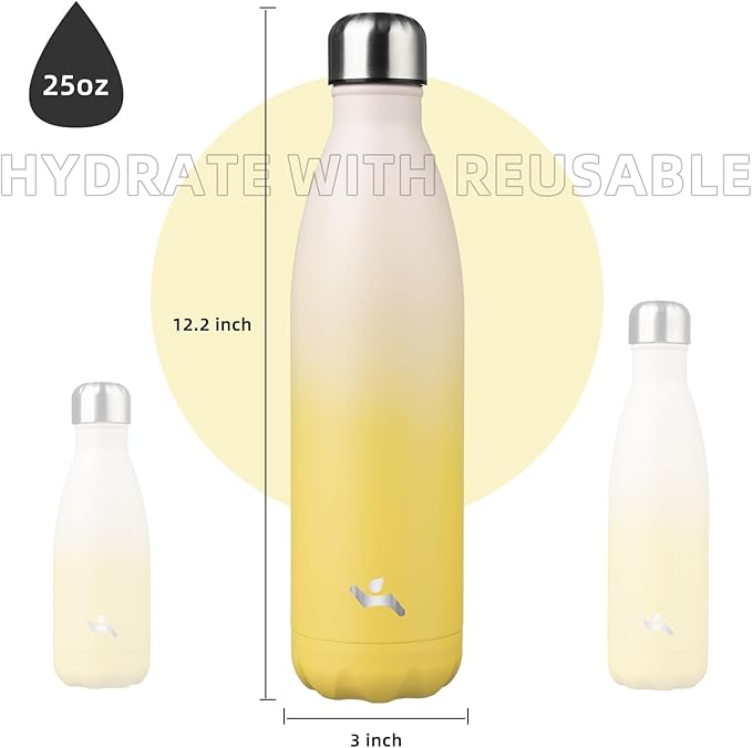 Insulated Water Bottles,25 oz Double Wall Stainless Steel Vacumm Metal Flask for Sports Travel,Lemon
