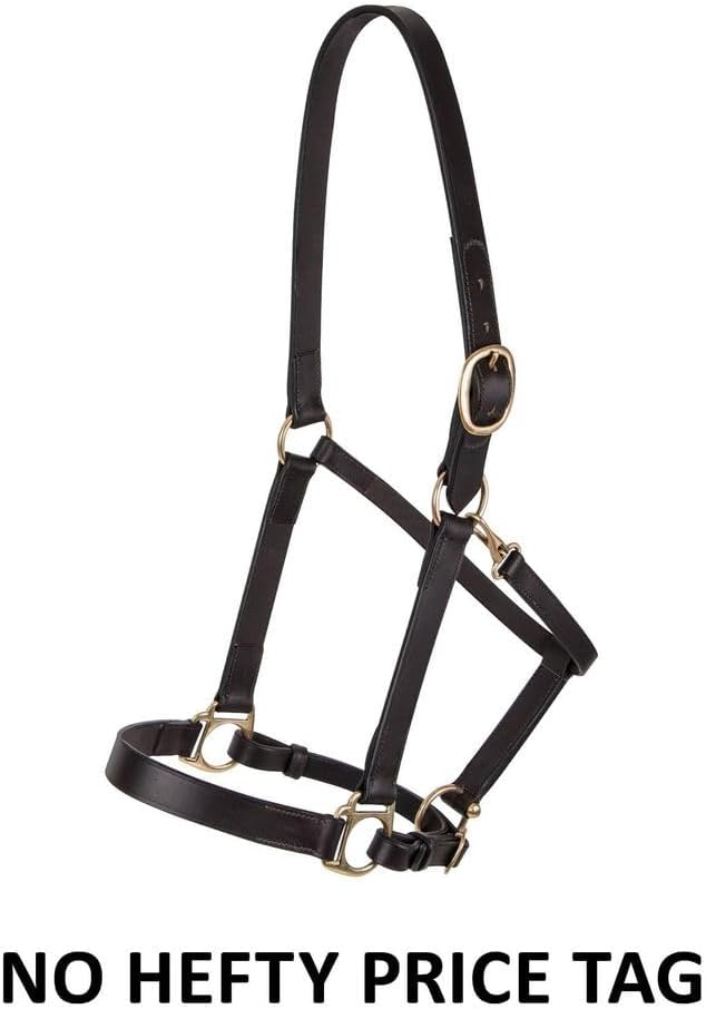 Dura-Tech Premier Lancaster Leather Halter for Horses | Simple Economy Leather Halter with Adjustable Fit & Solid Brass Hardware