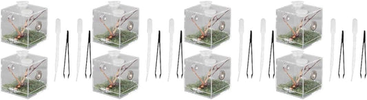 balacoo 8 Sets Jumping Spider Enclosure: Spider Cage Habitat Jumping Terrarium Micro Scorpion Droppers Reptile Hide Clear Enclosure Breeding Box Case with Breeding Tweezers