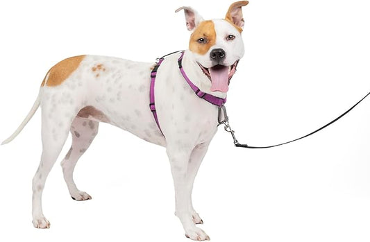 PetSafe 3 in 1 Dog Harness - No Pull Solution for Dogs - Reflective Dog Harness - Front D-Ring Clip Helps Stop Pulling - Comfortable Padded Straps - Top Handle Enhances Control - Plum - Medium