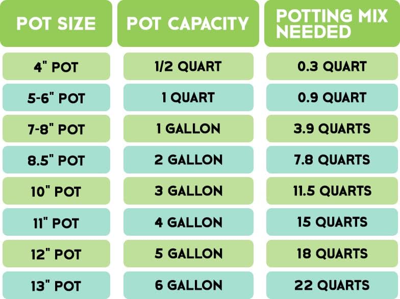 Money Tree Soil (4 Quarts), Potting Mix for Planting/Repotting Pachira Aquatica, All-Natural Custom Soil Blend