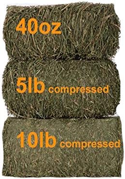 Grandpa's Best Orchard Grass Bale for Rabbits, Guinea Pigs, Chinchillas, Hamsters & Gerbils, 10 Lbs (Packaging may vary)