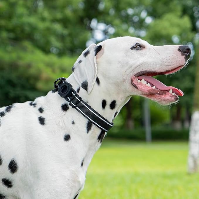 JSXD AirTag Dog Collar, Night Reflective Nylon Dog Collar for Small Medium Large Dogs,Lockable Quick Release Buckle,Padded Breathable Pet Collar with AirTag Holder (Blue, Small)