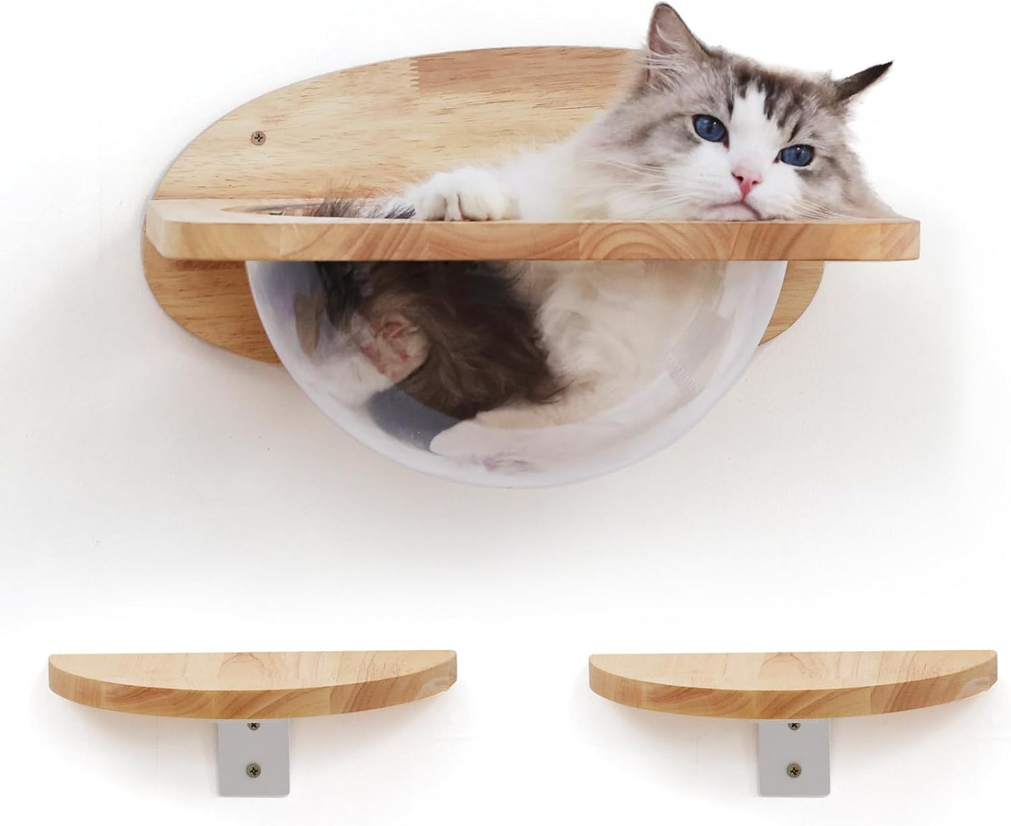 FUKUMARU Cat Wall Furniture Set, Transparent Capsule Kitten Walls Shelves with 2 PCS Pedals - Premium Kitty Bed for Sleeping, Playing, Climbing, and Lounging - Easily Holds Up to 35 Lbs
