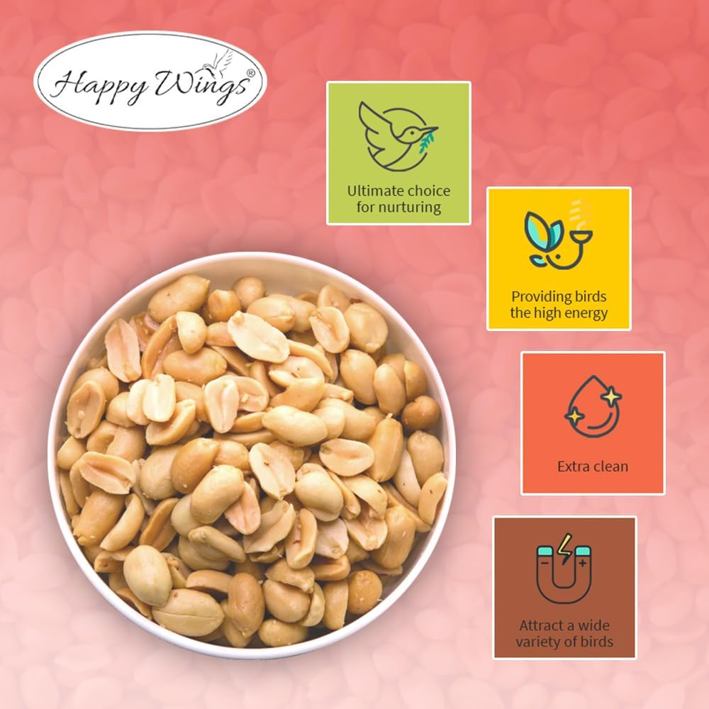 Shelled Peanuts Seeds Wild Bird Food - 5 Pounds I No Grow Seed I Bird Seed for Wild Birds