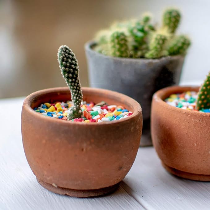 Mini Rainbow Confetti Gravel Pebbles Mix Colored Stones Aquarium Gravel Decorative Colored Garden Sand Succulent Cactus Bonsai Gritty Mix Rocks for Top Dressing, Landscaping, Home Decor 2.2 lbs