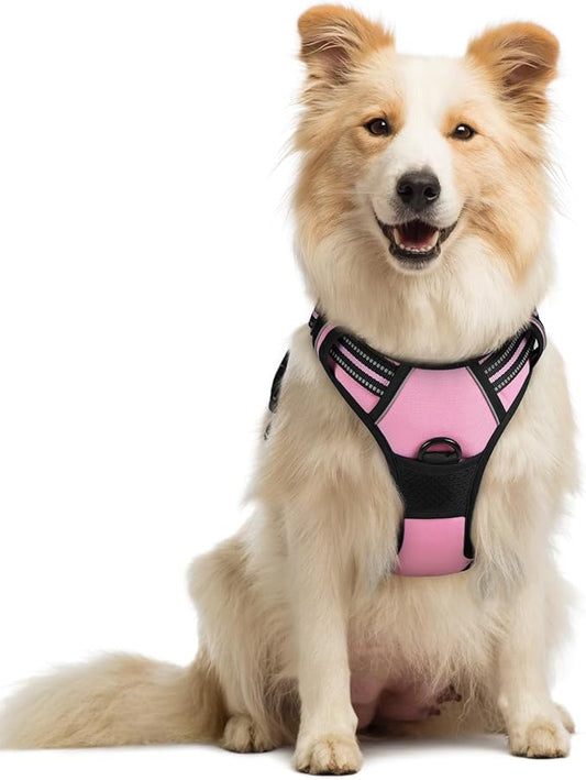 rabbitgoo Dog Harness No Pull with 2 Leash Clips, Adjustable Soft Padded, Reflective Oxford No Choke Pet Vest with Easy Control Handle for Medium Sized Dogs, Pink, M