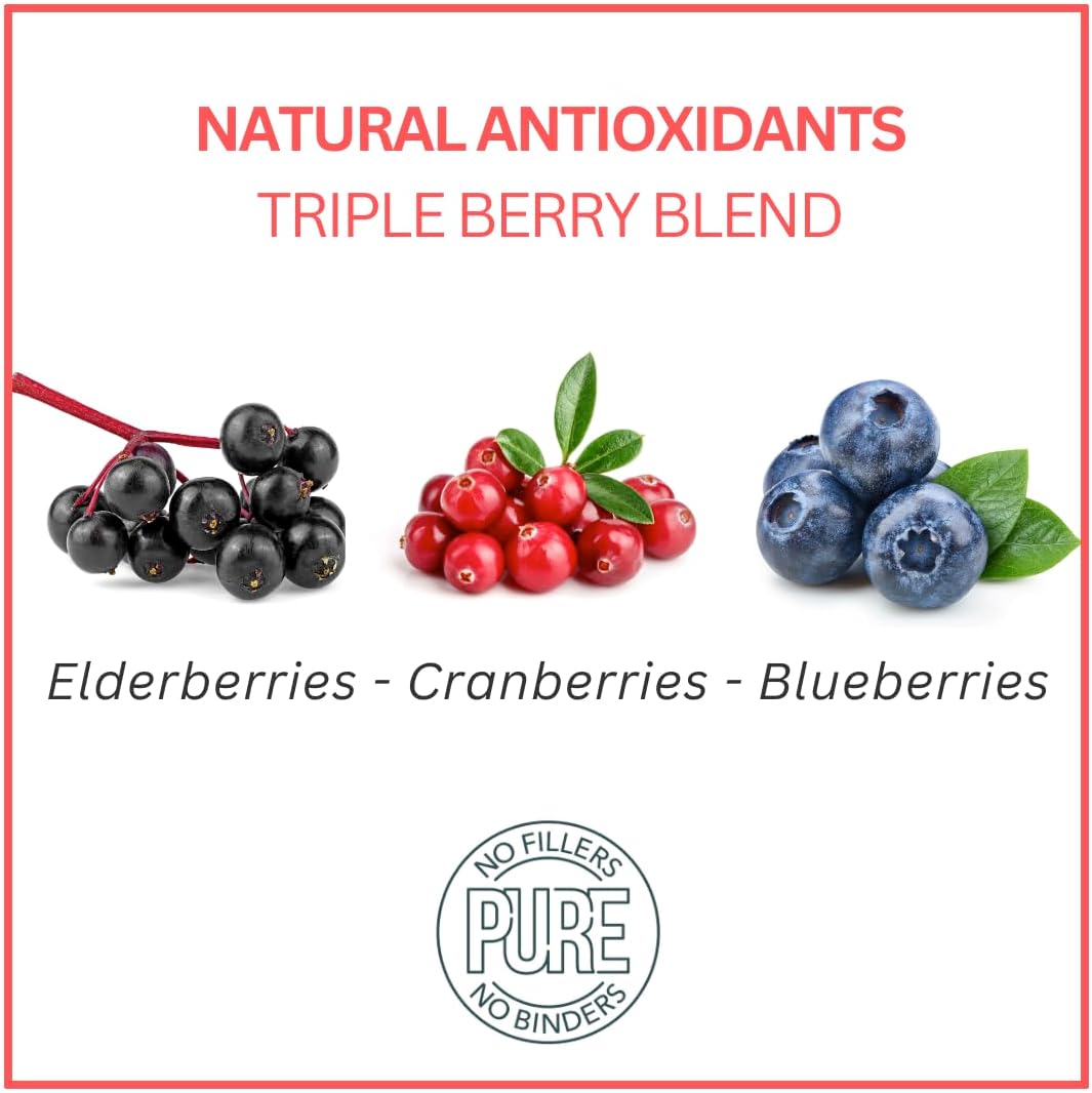 Bench & Field Holistic Natural Turkey & Triple Berry Dog Treats | Crunchy Bone-Shaped Bites | Antioxidant Blend, 10-Ounce Bottle