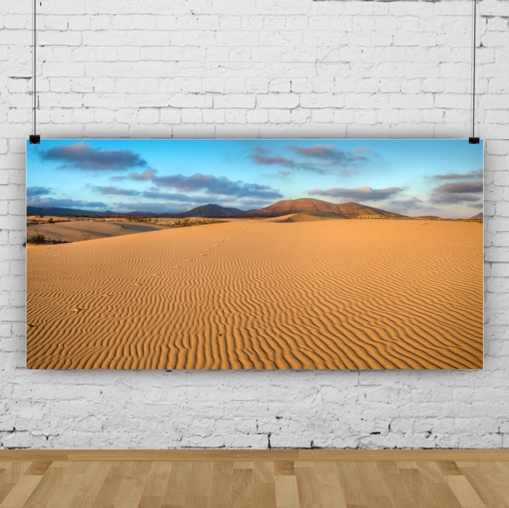 Renaiss 20x10ft Desert Photography Backdrop Golden Ripple Desert Mountain Sand Dunes Blue Sky Gobi Scenery Background Nature Landscape Backgrounds Wilderness Photo Video Shoot Studio Props