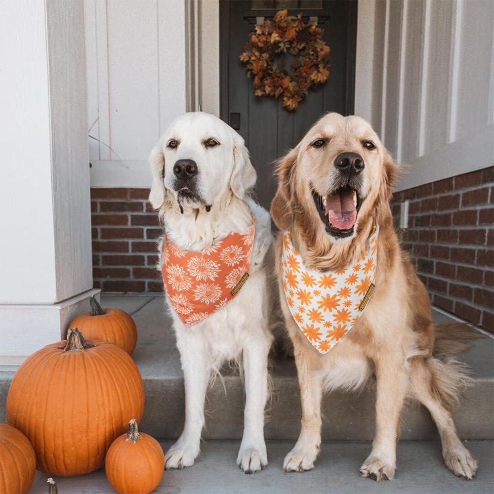 CROWNED BEAUTY Fall Dog Bandanas Reversible 2 Pack, Daisy Set, Buffalo Plaid Polka Dots Adjustable Triangle Scarves for Medium Large Extra Large Dogs Girl Boy Pets Orange DB64-L