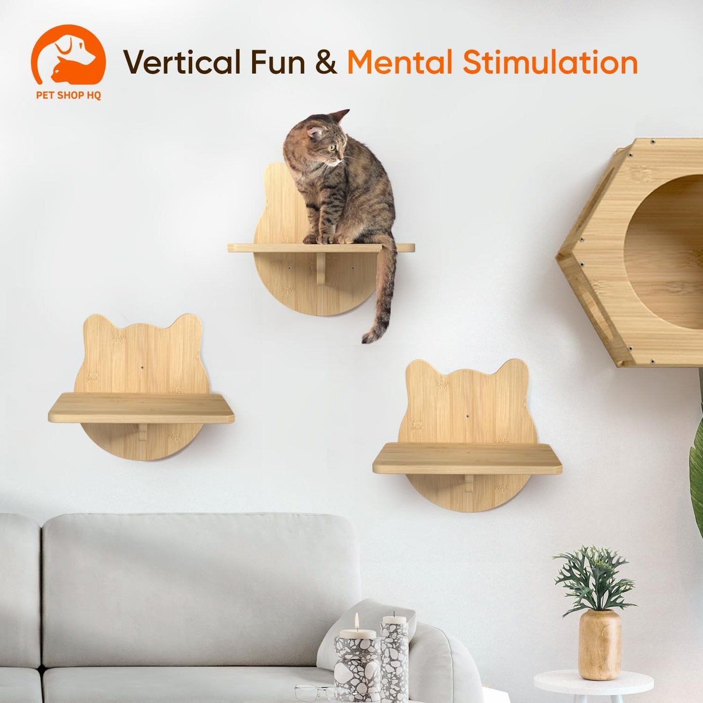 Wall-Mounted Cat Furniture for Climbing - Indoor Wooden Floating Shelves, Perches, Hammock, Bed, Bridges, Walkways - Different Models