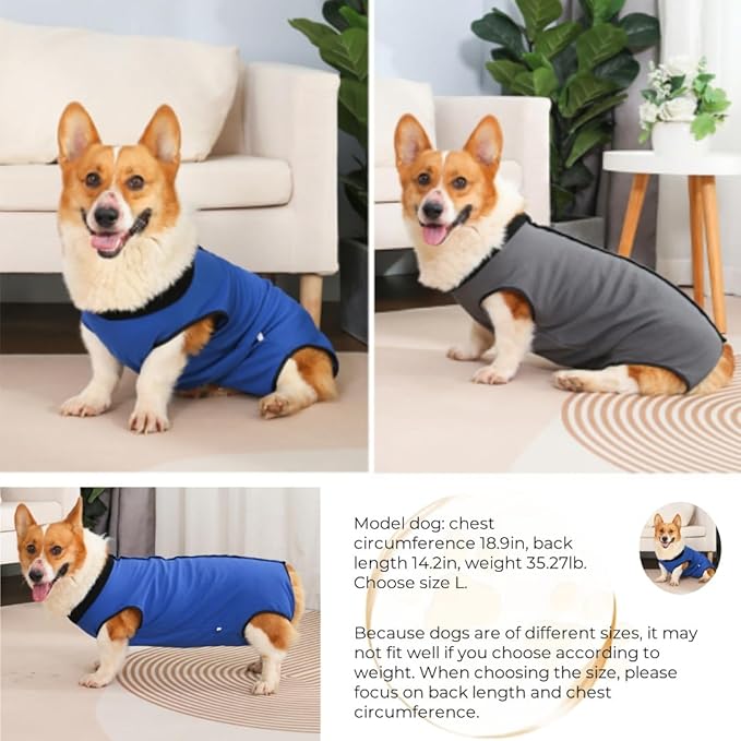 Dog Surgery Recovery Suit,Abdominal Surgical Suit for Dogs,Recovery Suit for Dogs,Prevent Licking Surgical Wound Dog Cone Alternative Blue S