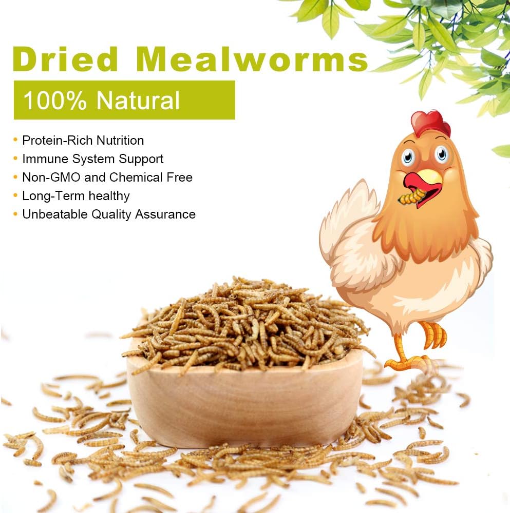 Dried Mealworms 5Lbs, High-Protein Bulk Mealworms, 100% Non-GMO Mealworm Treats for Birds, Chickens, Turtles, Fish, Hamsters and Hedgehogs All Natural Animal Feed