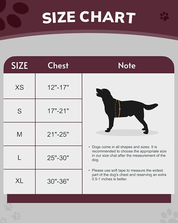 MIDOG No-Pull Dog Harness | Adjustable & Reflective Pet Harness Leash Set for Small Medium Large Dogs Walking, Training| No Choke, Front Clip, Soft Padded Vest with Easy Control Handle - Pink, S