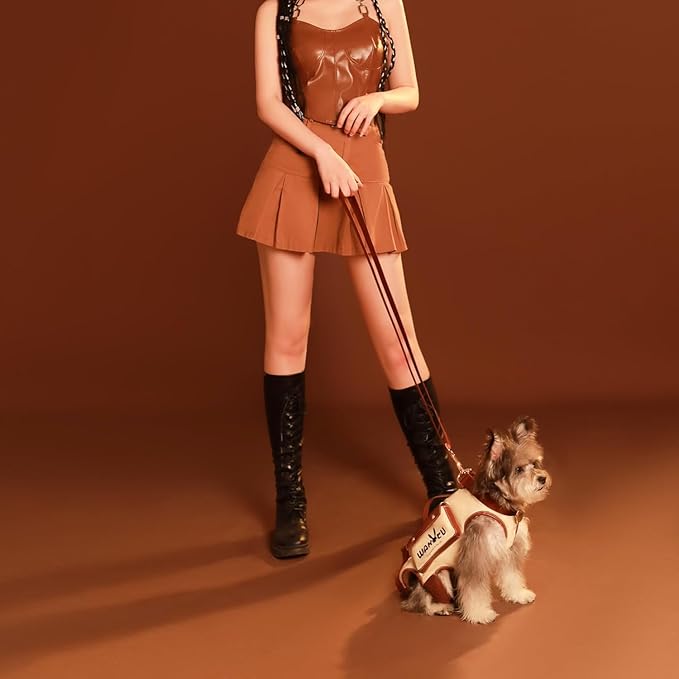 Dog Lift Harness Dog Carrier VES Harness Adjustable Leash with Small Puppy Treat Bag,Fits Most Cars,M