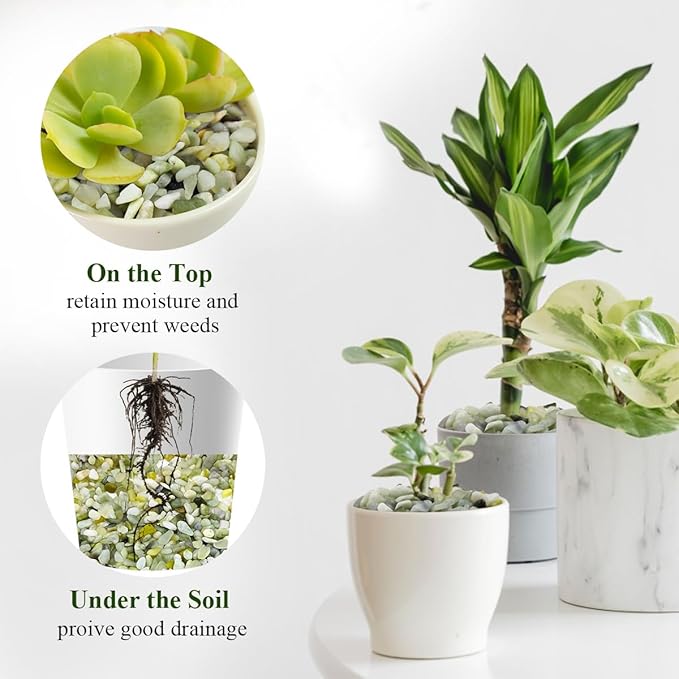 5 lbs Jade Gravel Small Pebbles for Indoor Plants, Decorative Rocks for Plants Succulents Cactus Bamboo Vases Filler and Potted Drainage Gravel