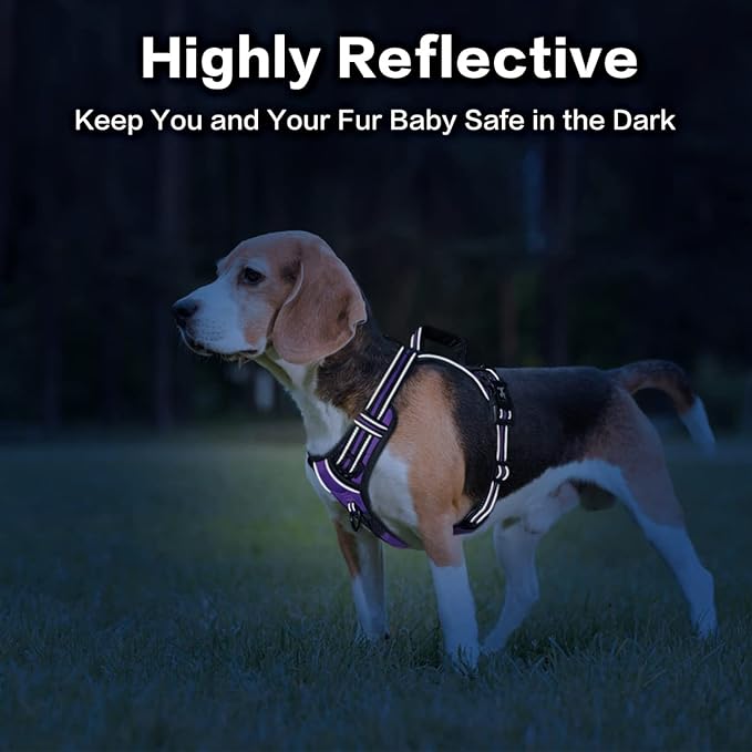 PoyPet No Pull Dog Harness, No Choke Front Clip Reflective Dog Vest with Soft Padded Vertical Handle, 3 Leash Attachments for Small Medium Large Dogs (Purple,L)