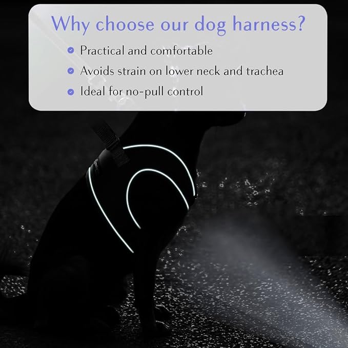 Comfort Fit Dog Harness – Adjustable No-Pull Vest for Small, Medium & Large Dogs – Soft Padded Step-in Design for Easy Control – Ideal for Walking, Running & Training – All-Weather Premium Dog Vest