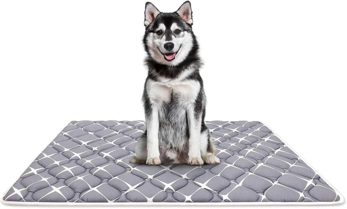 Bubble bear Dog Crate Mat - Ultra Soft, Washable & Anti-Slip Kennel Pad for Small/Medium/Large Dogs, Dark-Hued to Hide Stains (48"x30")