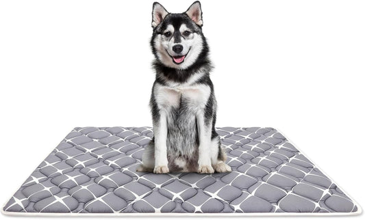 Bubble bear Dog Crate Mat - Ultra Soft, Washable & Anti-Slip Kennel Pad for Small/Medium/Large Dogs, Dark-Hued to Hide Stains (48"x30")