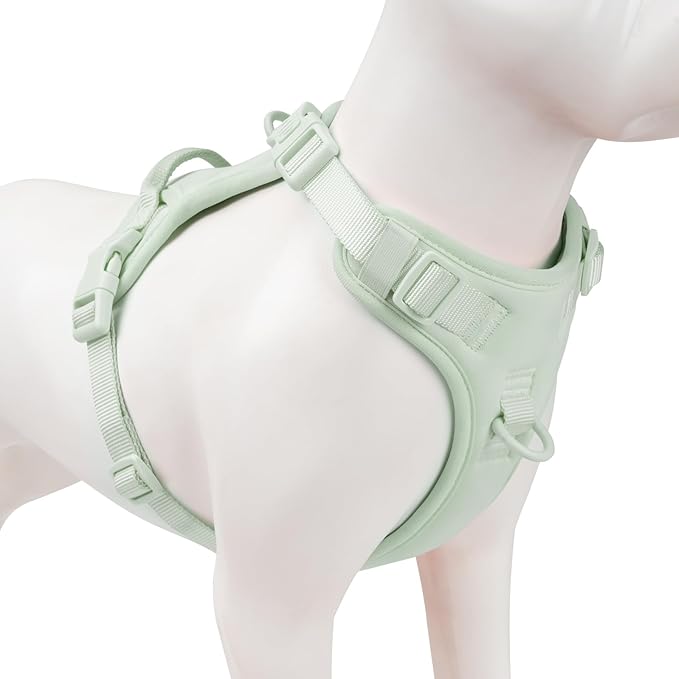 No Pull Dog Harness, Puppy Vest with Front Clip for Small Medium Large Sized Dog(Light Green,XL)