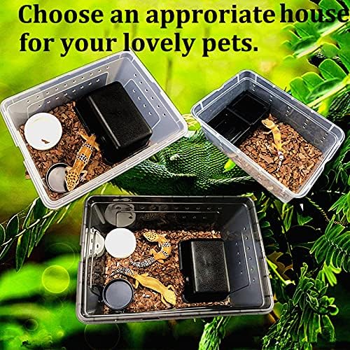 PINVNBY Reptile Enclosure Terrarium 2-Pack - 12.6"x8.7"x5.9" Multi-Purpose Transparent Plastic Habitat Cage for Gecko Scorpion Spider Snake Breeding Feeding & Cricket Keeper with Ventilated Lid, Black