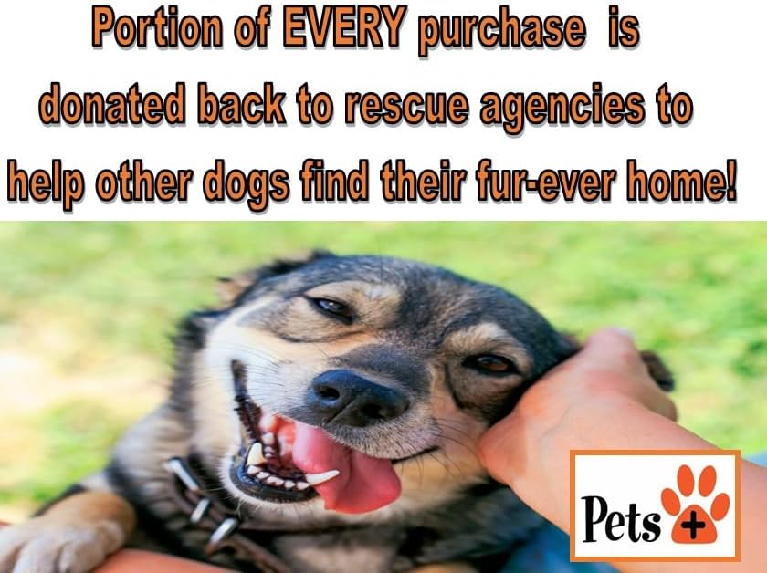 Pets Plus Premium Dog Treat – Beef Femur Bone, 1 Count | All-Natural, Long-Lasting Chew for Medium & Large Dogs, Supports Dental Health & Boredom Relief