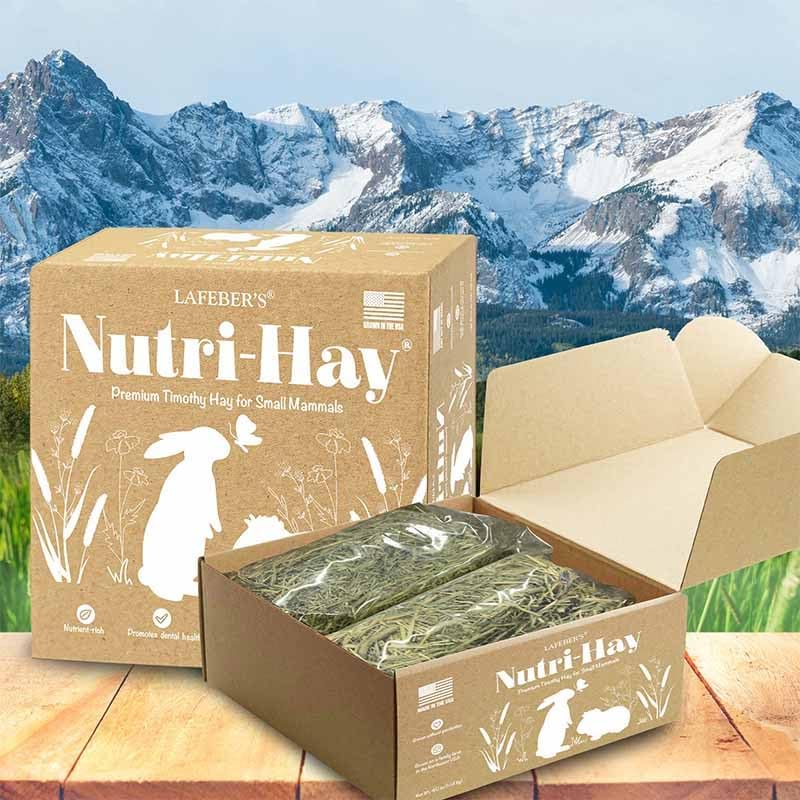 LAFEBER'S Nutri-Hay Box for Rabbits and Guinea Pigs 40 oz