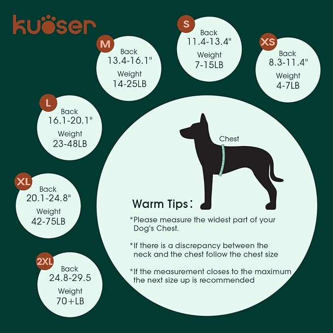 Kuoser Dog Surgery Recovery Suit, Recovery Suit for Female Male Dogs, Dog Onesie After Surgery Spay Neuter, Anti-Licking Pet Surgical Recovery Snugly Suit, Bodysuit for Abdominal Wounds Skin Disease