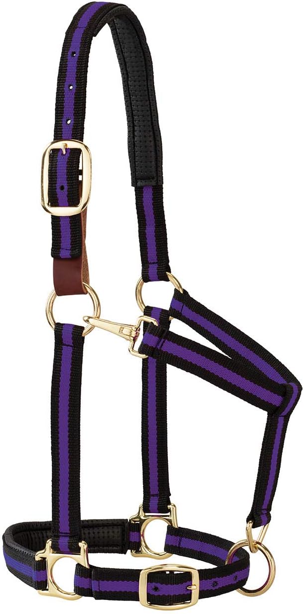 Weaver Equine Breakaway Horse Halter, Comfort Foam Padding, Adjustable Chin & Throat Snap Halters for Horses, Equine Tack,Average Size, Purple