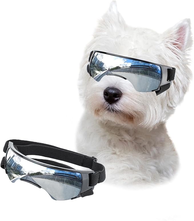 Lesypet Dog Goggles for Small Breed, Windproof UV Protection Small Dog Sunglasses Outdoor Walking Driving Pet Sunglasses Eye Protection with Adjustable Straps, Silver