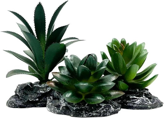 Smoothedo-Pets Reptile Artificial Plants Succulent Terrarium Decor Desert Rainforest Plant Lizard Beard Chameleon Gecko Snake Amphibious Sea Turtle Tank Accessory (Dark-Green-3pcs-Se)