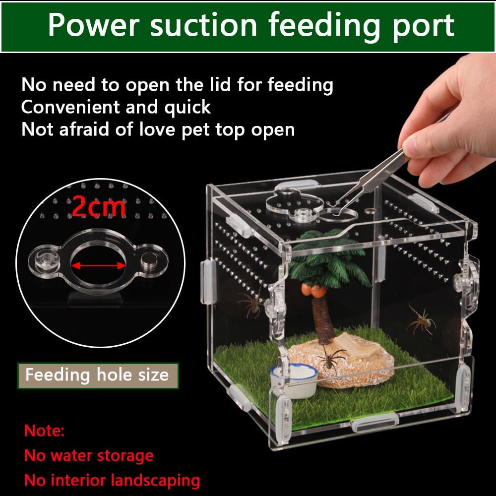 Reptile Terrarium,Tarantula Enclosure,Jumping Spider Enclosure for Tarantula Scorpion Sling Isopods Snail Reptile Invertebrates Accessories（4" X4 X4 ）