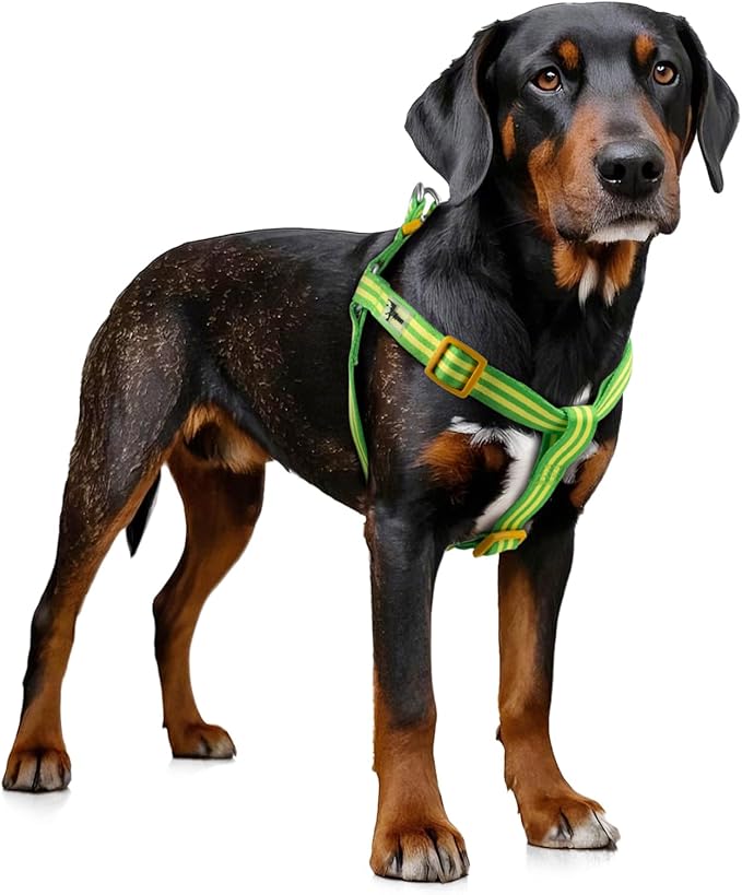 Stripe Step in Dog Harness for Small Dogs, Freedom Nylon Dog Halter Vests, Lightweight and Escape Proof Puppy Harness, Quick Fits for Small Medium and Large Dogs, Green L