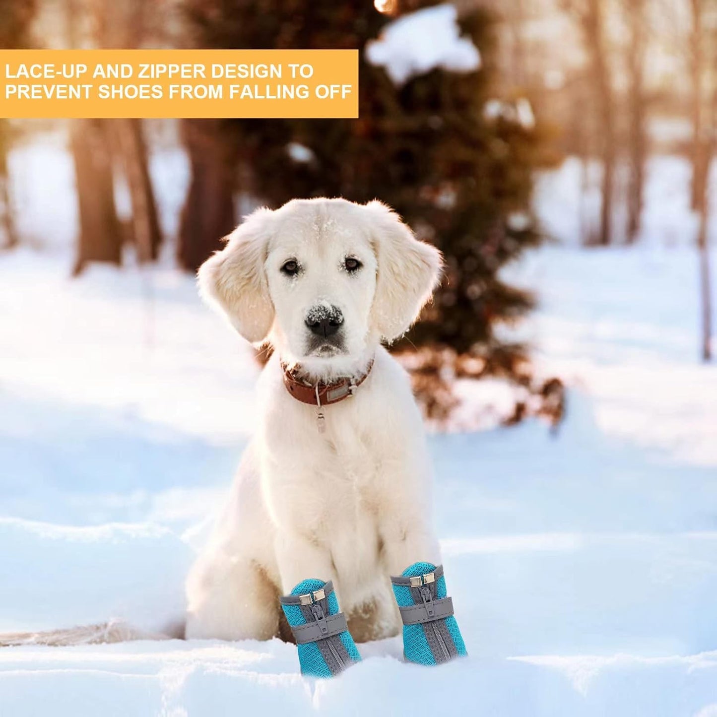 Dog Shoes for Small Dogs, Puppy Dog Boots & Paw Protector for Winter Snow Day, Summer Hot Pavement, Waterproof in Rain Weather, Ourdoor Hiking, Indoor Hardfloors with Anti Slip Sole 4PCS/Set