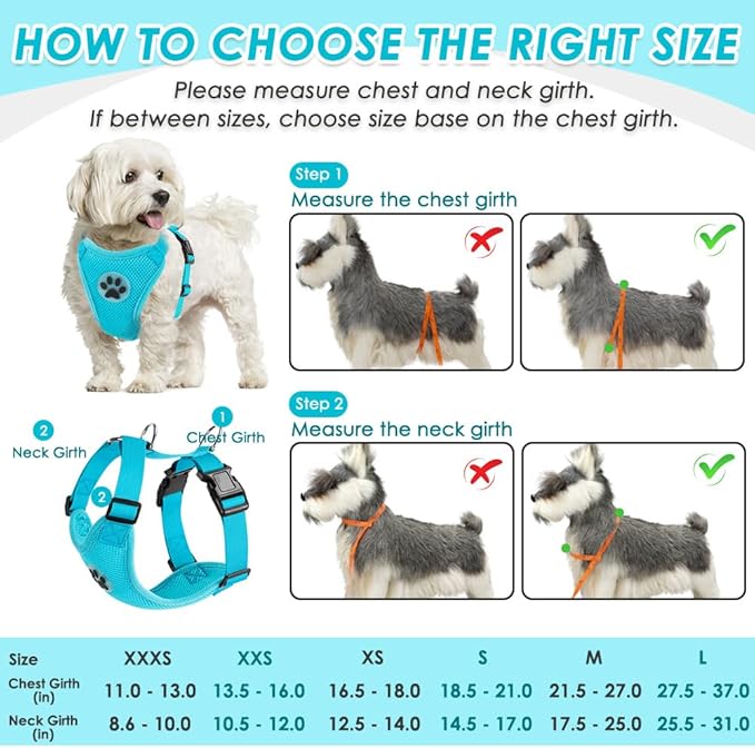 SlowTon Dog Seat Belt Harness for Car, Dog Car Harness Adjustable Mesh Breathable & Dog Seatbelt Safety Tether with Elastic Bungee for Small Medium Large Pets(Light Blue, Double Clip, XS)