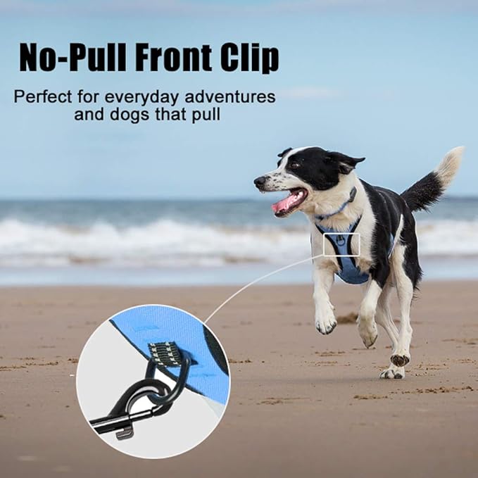 PoyPet No Pull Dog Harness, Reflective Comfortable Vest Harness with Front & Back 2 Leash Attachments and Easy Control Handle Adjustable Soft Padded Pet Vest for Small to Large Dogs (Light Blue,S)