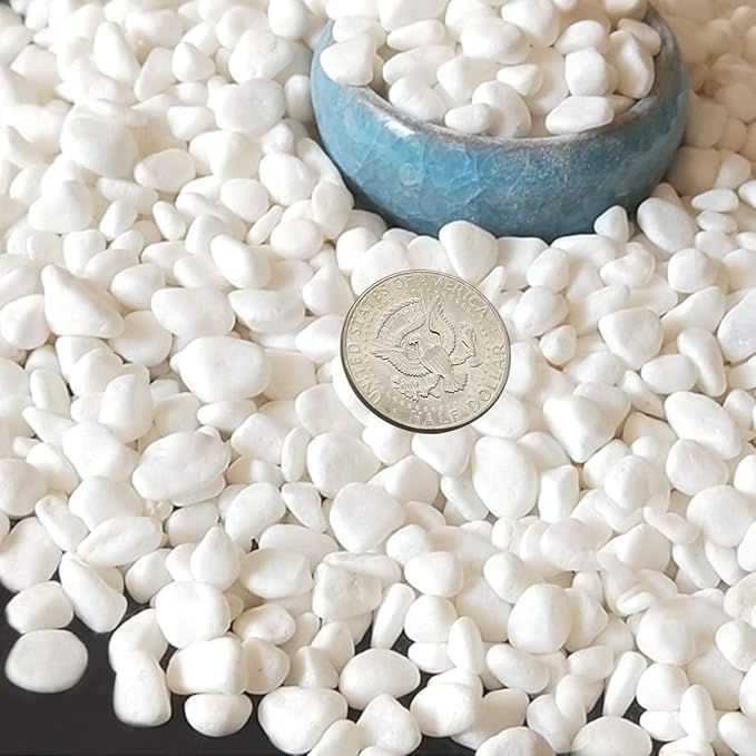 TOYPOPOR Mini White Rocks Stone Decorative Pebbles Vase Fillers Succulents Cactus Bonsai DIY Plant Rock Garden Outdoor Indoor Gravel for Aquarium, Terrarium, Fairy Gardening, Top Dressing 6lbs