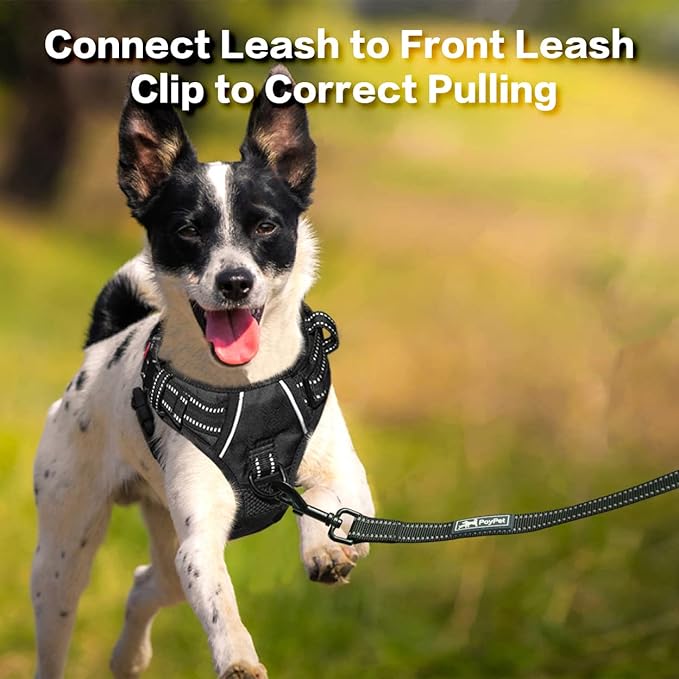 PoyPet No Pull Dog Harness, No Choke Front Clip Reflective Dog Vest with Soft Padded Vertical Handle, 3 Leash Attachments for Small Medium Large Dogs (Black,XL)