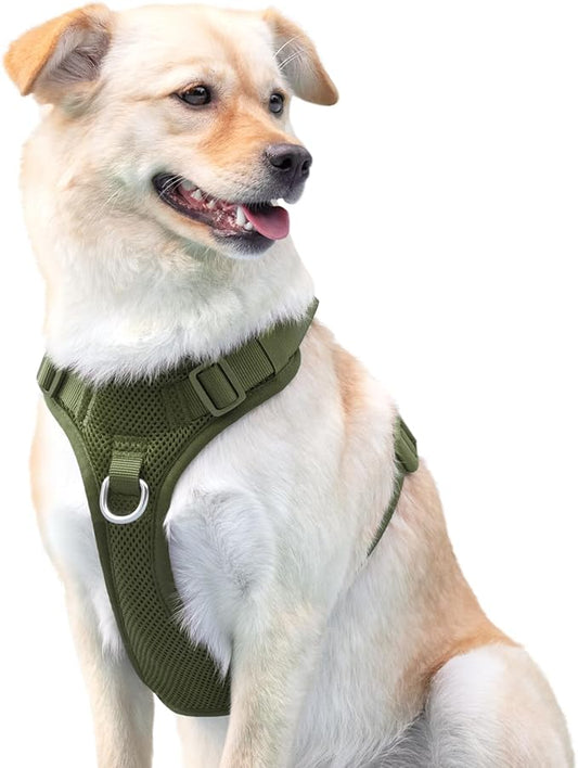 No Pull Dog Harness for Small Medium Large Dogs - Adjustable Two-Layer Mesh Dog Vest with Dual Clip, Escape Proof, Quick Release, Lightweight Breathable Mesh for Walking Hiking (Misty Green,L)