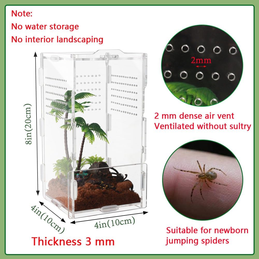 8x4x4 Inch Modern Rectangular Acrylic & Polycarbonate Vivarium for Tarantulas, Lizards, Snakes, Geckos, Jumping Spiders, Snails, Insects