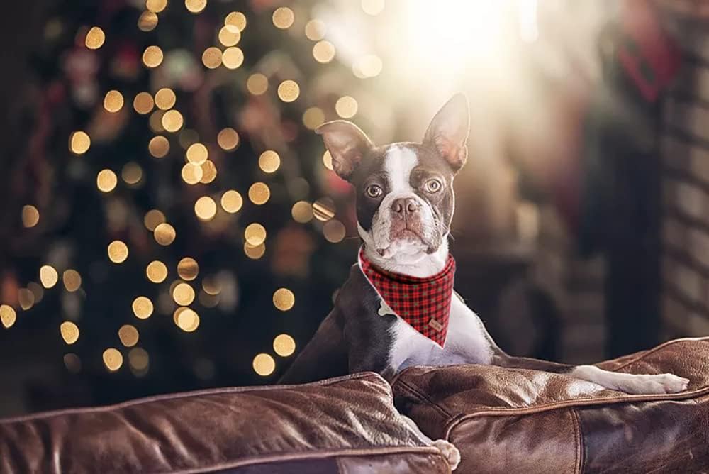 Lionet Paws Christmas Dog Bandana 1PC Pet Red Tree Dog Bandana Washable Reversible Cotton Boy Bibs Scarf, Adjustable Square Dogs Kerchief for Small to Large Dog