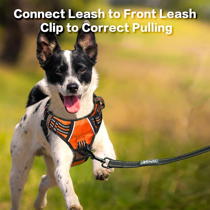 PoyPet No Pull Dog Harness, No Choke Front Clip Reflective Dog Vest with Soft Padded Vertical Handle, 3 Leash Attachments for Small Medium Large Dogs (Orange,XL)