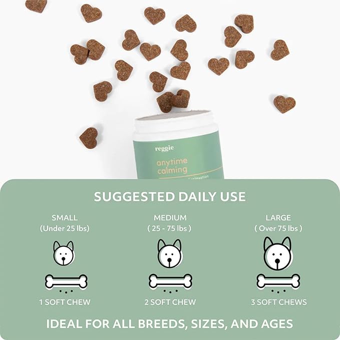 Reggie Anytime Calming Chews for Dogs | Natural Calming Dog Treats to Reduce Hyperactivity, Separation Anxiety, & Stress | Vet-Approved & Ideal for All Ages, Breeds, and Sizes - 60 Soft Chews