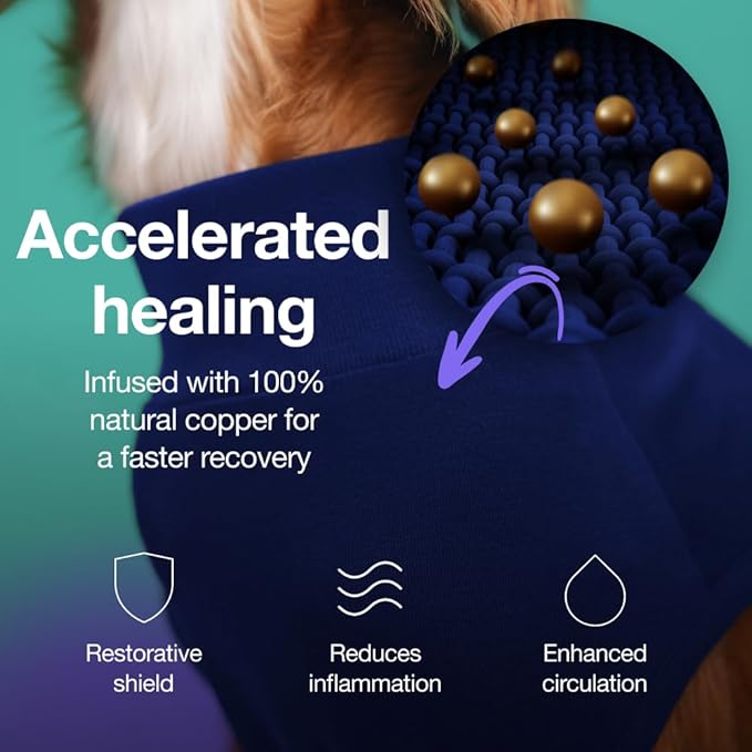 PupShield - Dog Surgery Recovery Suit Male and Female Easy to Use Anti Licking Design Breathable Comfortable - Spay & Neuter Recovery Suit, Surgical Onesie - Dog Cone Alternative