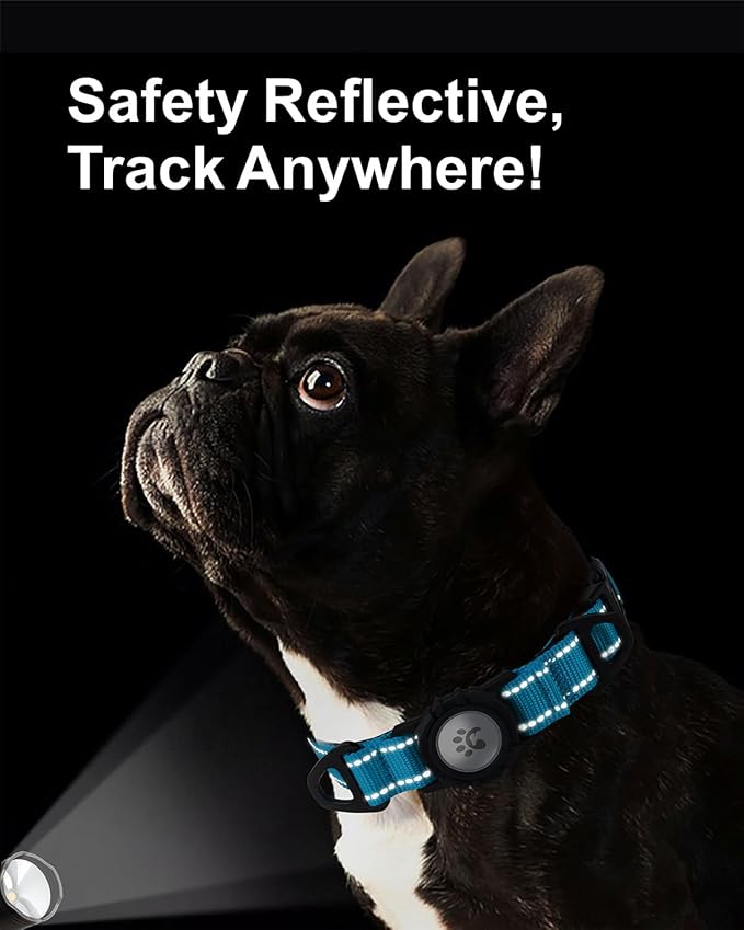 TagME Airtag Dog Collar,Waterproof Reflective Pet Collar with Airtag Holder,Soft Padded and Double D-Rings for Small Dogs,Light Blue