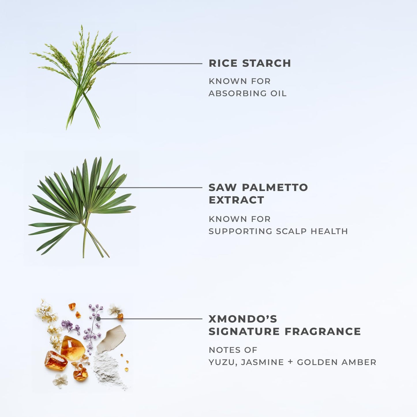 XMONDO Hair BOOST X Dry Shampoo, Zero Residue, Formulated with Saw Palmetto to Promote Scalp Care, Clinically Tested, Dermatologist Tested, Talc-free, Benzene-free, Free of aluminum starch, 5 oz