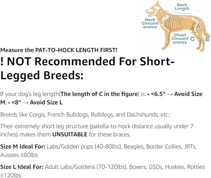 Dog Knee Brace with Adjustable Support – ACL & CCL Tear Recovery, Post-Surgery Stabilization, Mobility Aid for Rear Legs – Includes Secure Chest Harness for Dogs(Right,M)